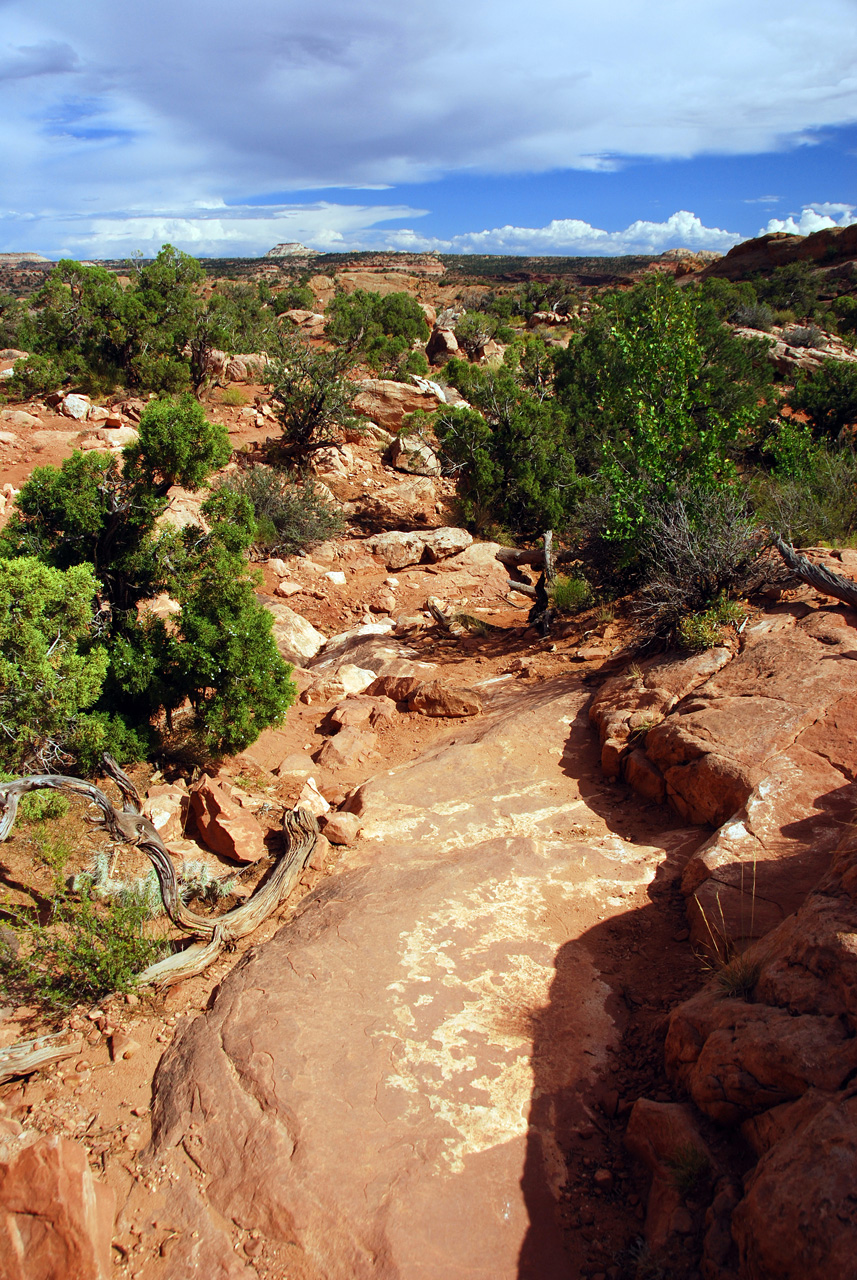 07-08-16, 439, Canyonlands National Park, Utah