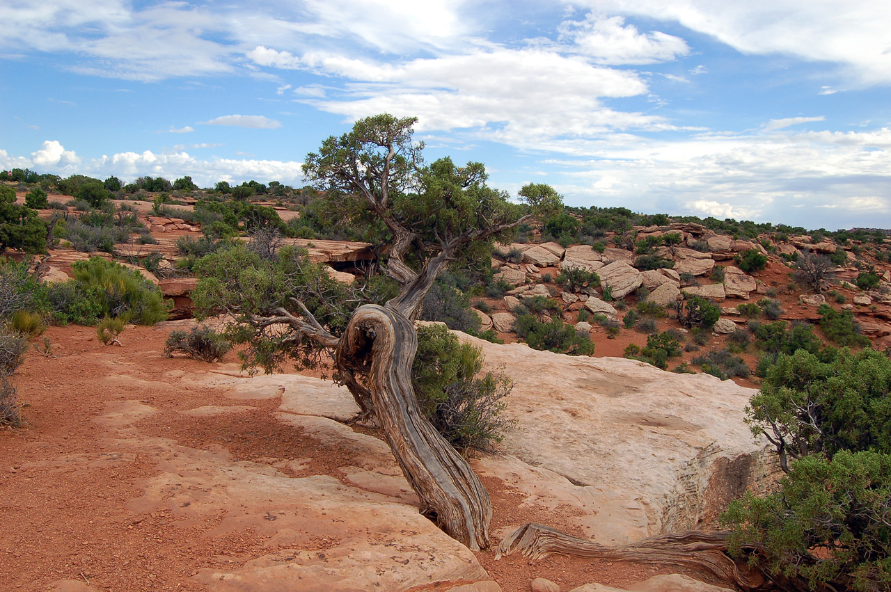 07-08-16, 474, Canyonlands National Park, Utah