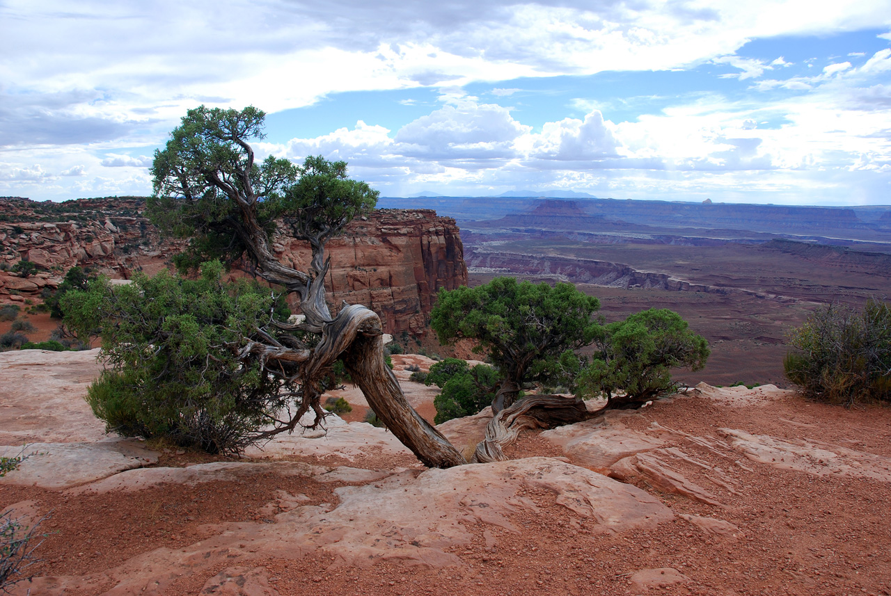 07-08-16, 475, Canyonlands National Park, Utah