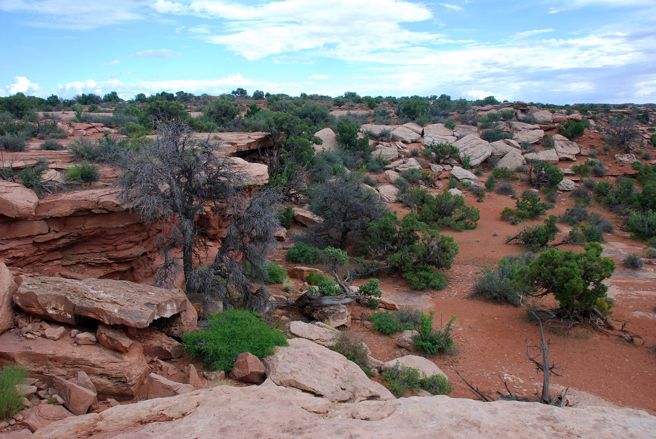 07-08-16, 476, Canyonlands National Park, Utah