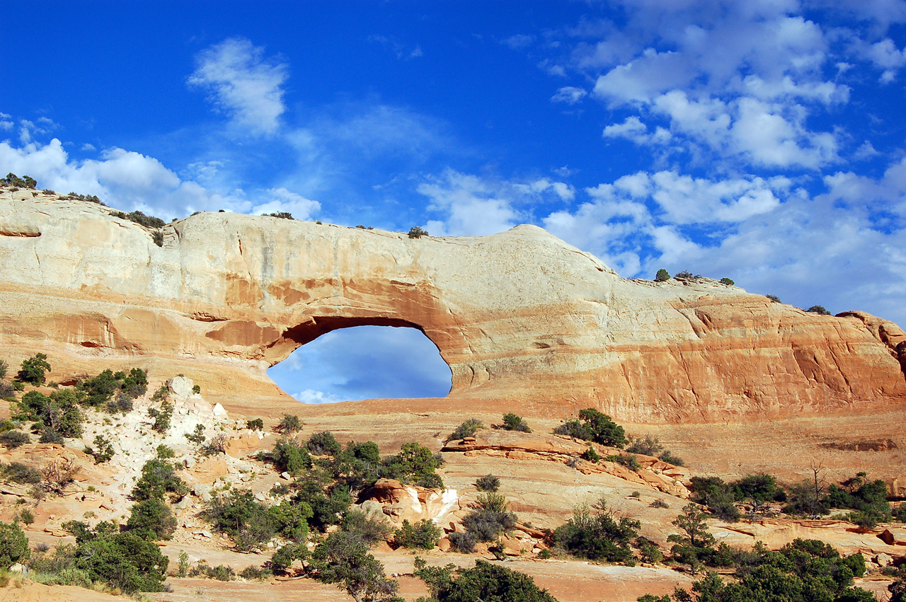 07-08-16, 492, Along Rt 191 in Utah