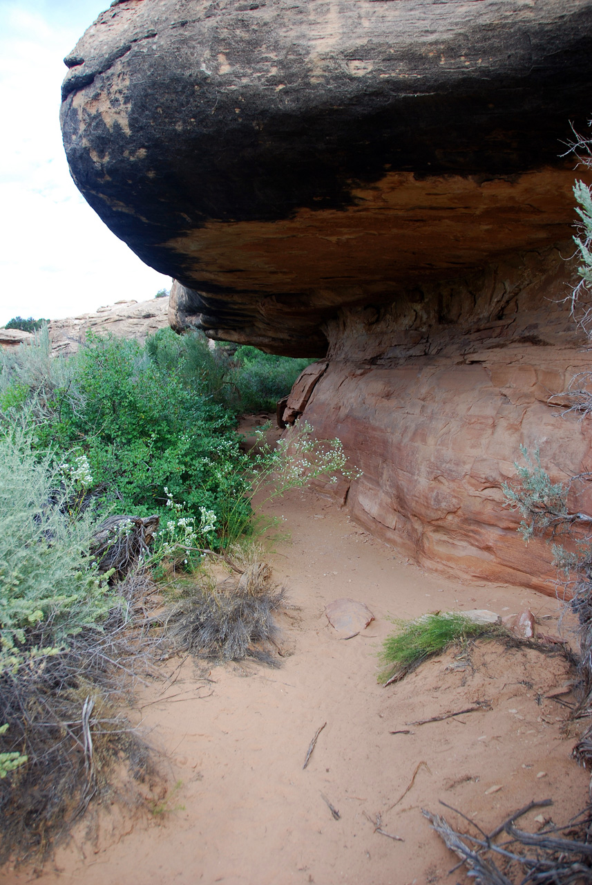 07-08-17, 024, Canyonlands South Entrance, Utah