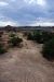 07-08-17, 047, Canyonlands South Entrance, Utah