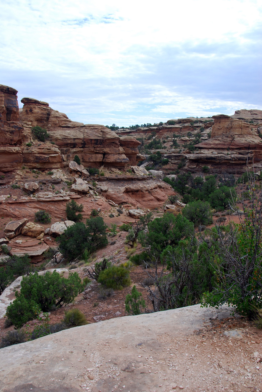 07-08-17, 081, Canyonlands South Entrance, Utah