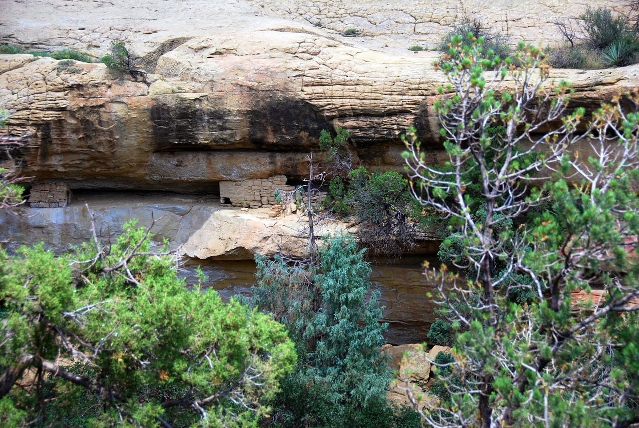 07-08-17, 120, Mesa Verde National Park, Co