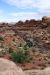 07-08-17, 079, Canyonlands South Entrance, Utah