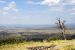 07-08-17, 104, Mesa Verde National Park, Co