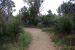 07-08-17, 241, Mesa Verde National Park, Co