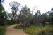 07-08-17, 242, Mesa Verde National Park, Co