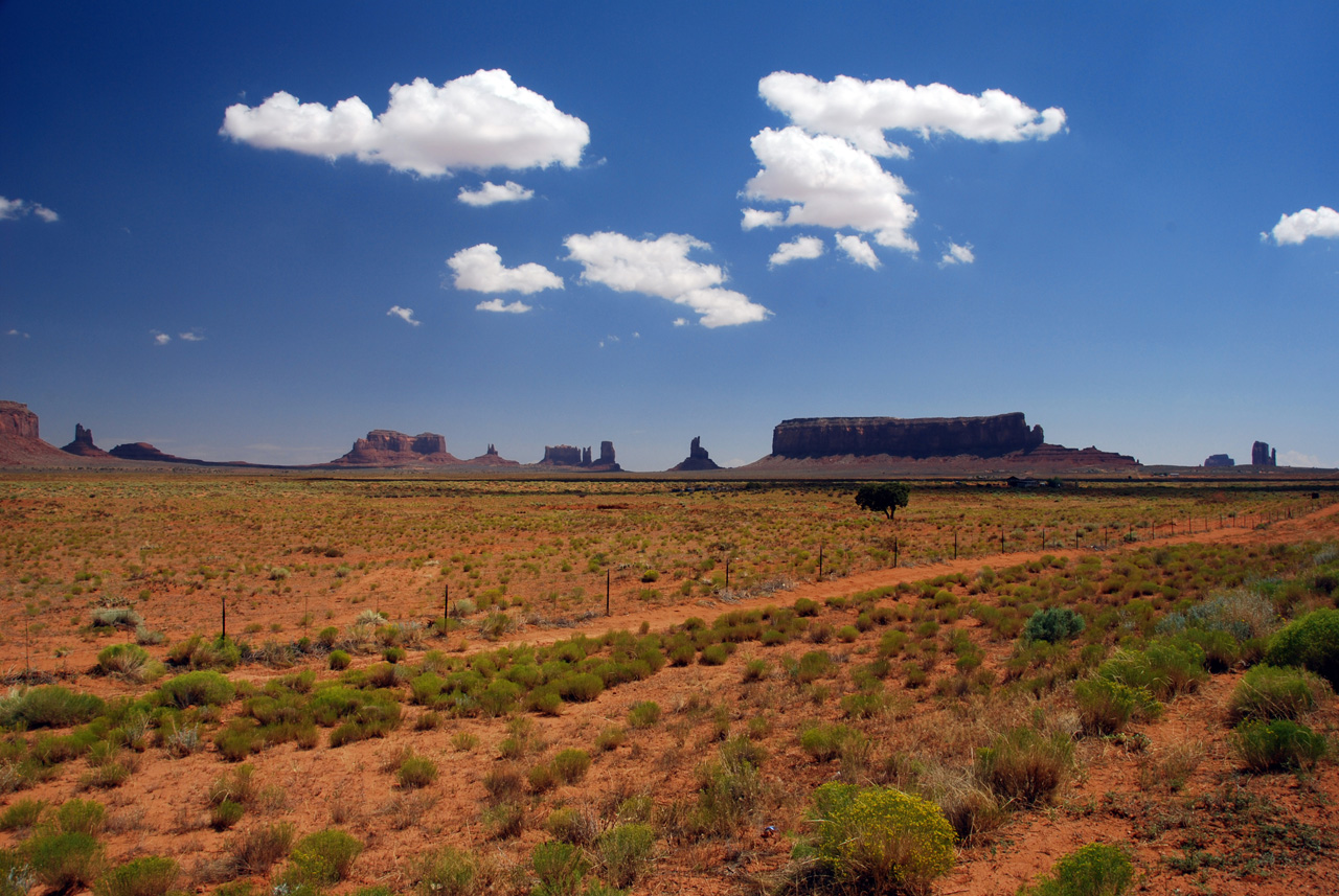 07-08-18, 156, Along Rt 163 in Az