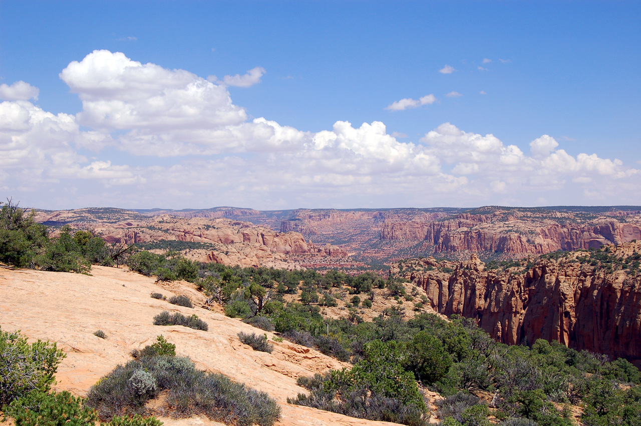 07-08-18, 167, Navajo National Monument, Az