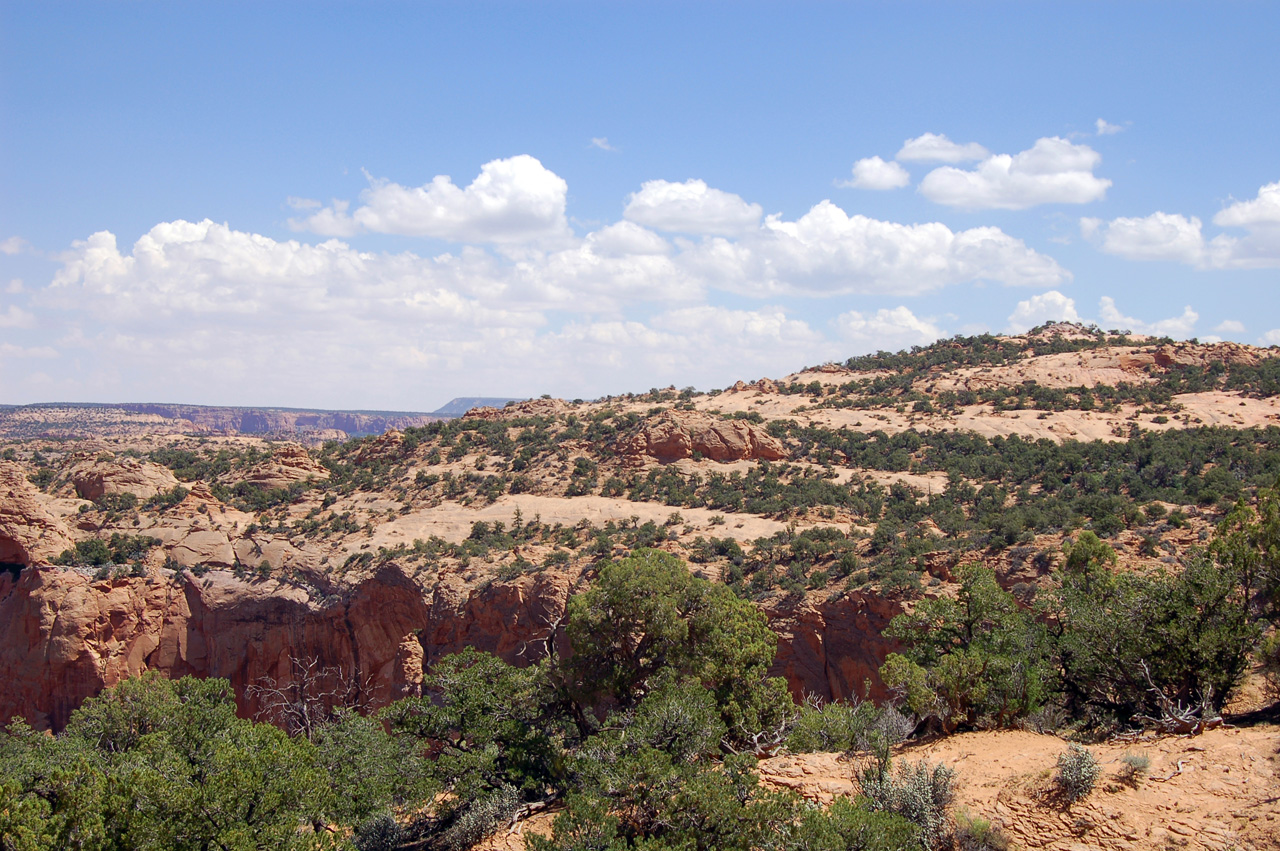 07-08-18, 169, Navajo National Monument, Az