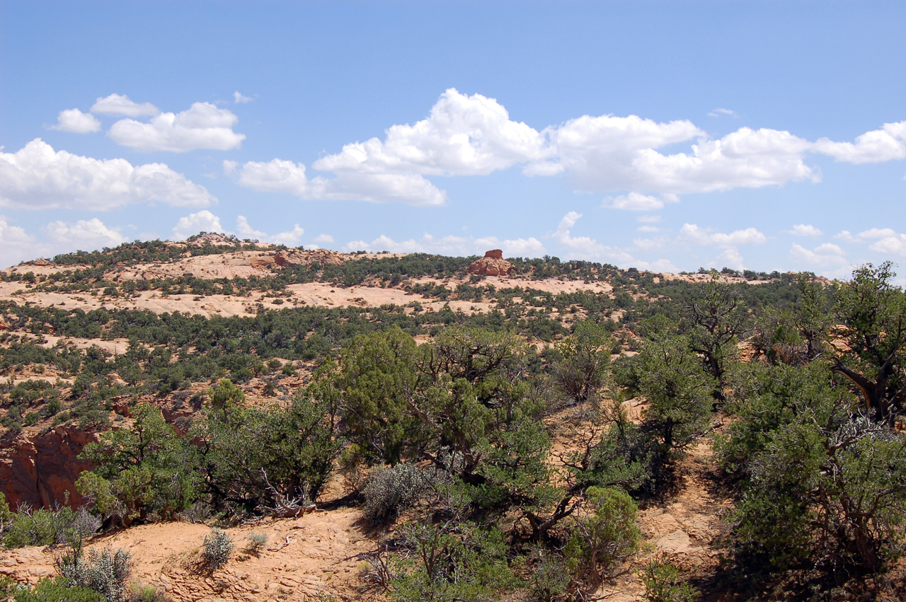 07-08-18, 170, Navajo National Monument, Az