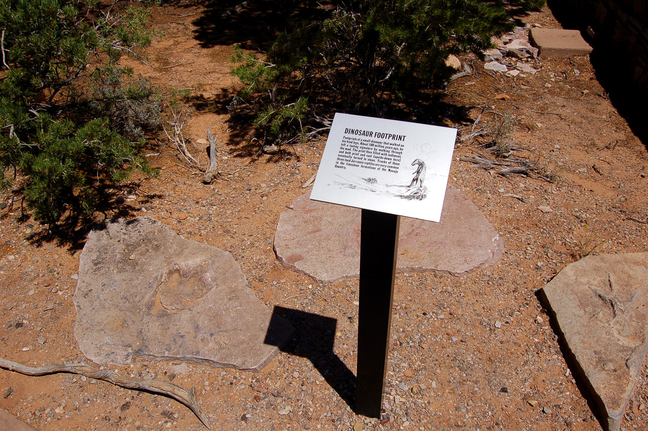 07-08-18, 172, Navajo National Monument, Az