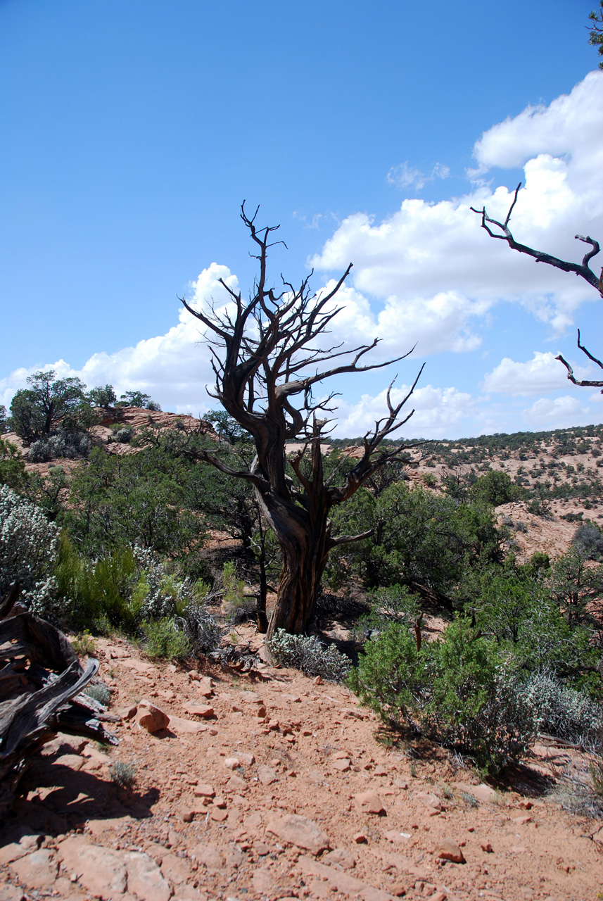 07-08-18, 190, Navajo National Monument, Az