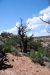 07-08-18, 190, Navajo National Monument, Az