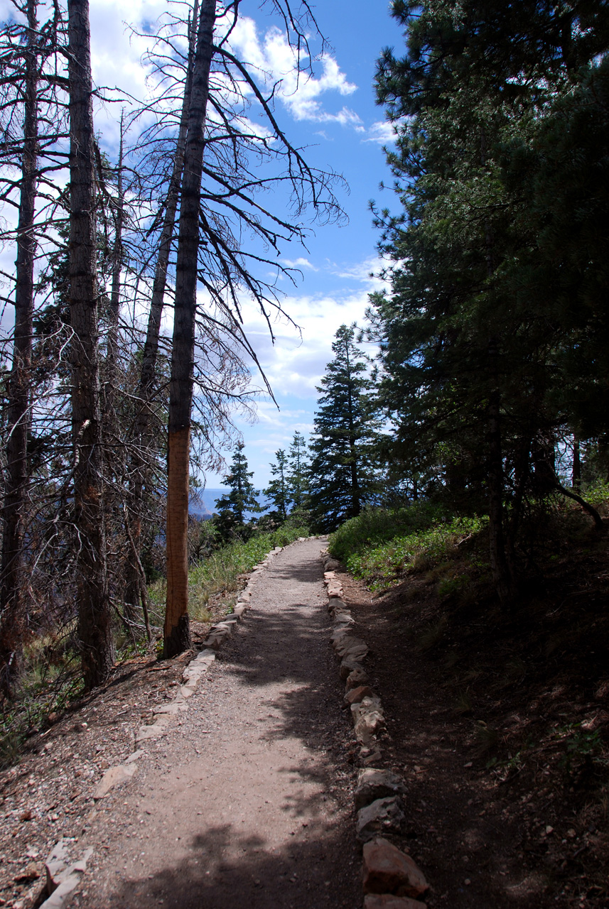 07-08-19, 038, Grand Canyon, North Rim, Az