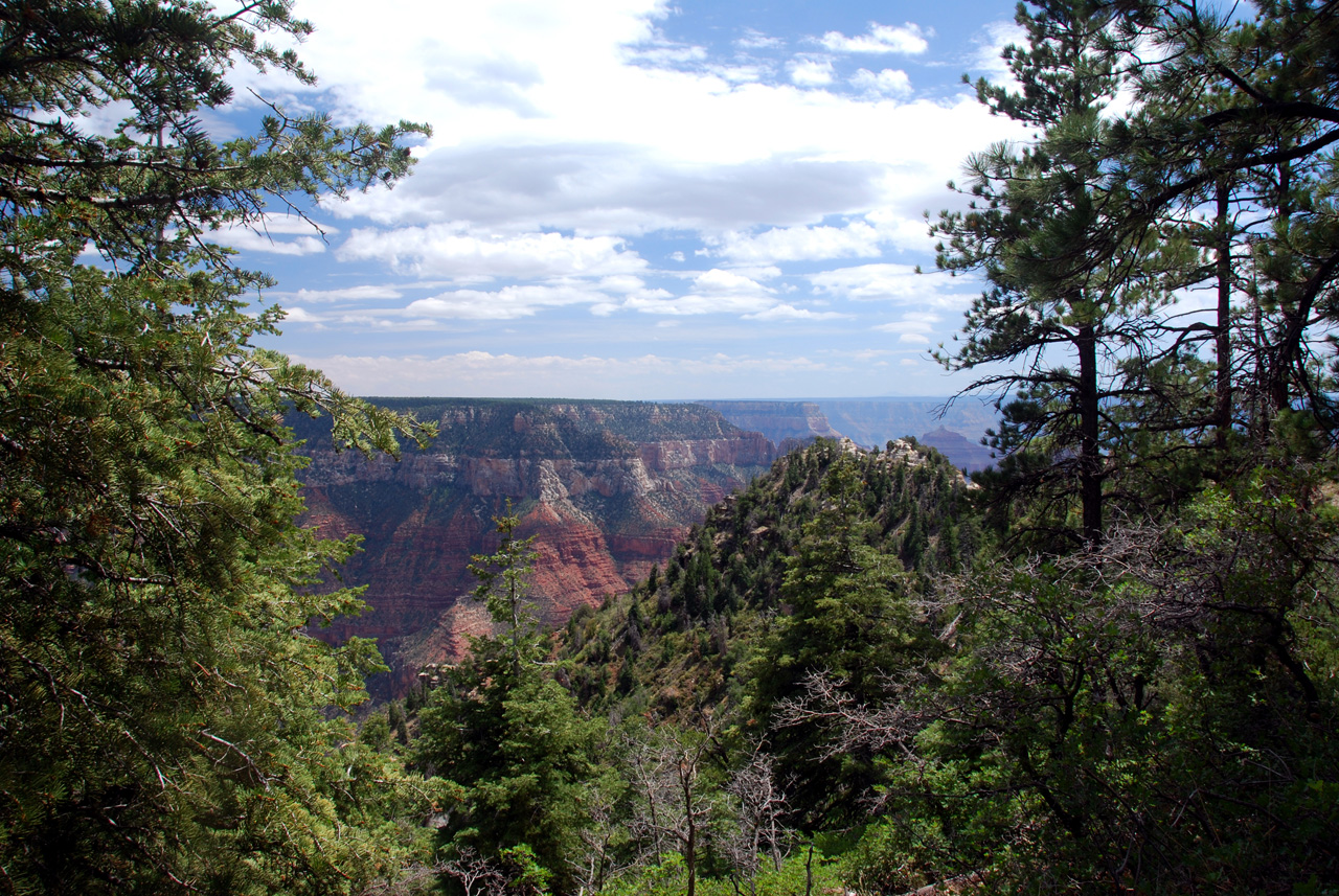 07-08-19, 040, Grand Canyon, North Rim, Az