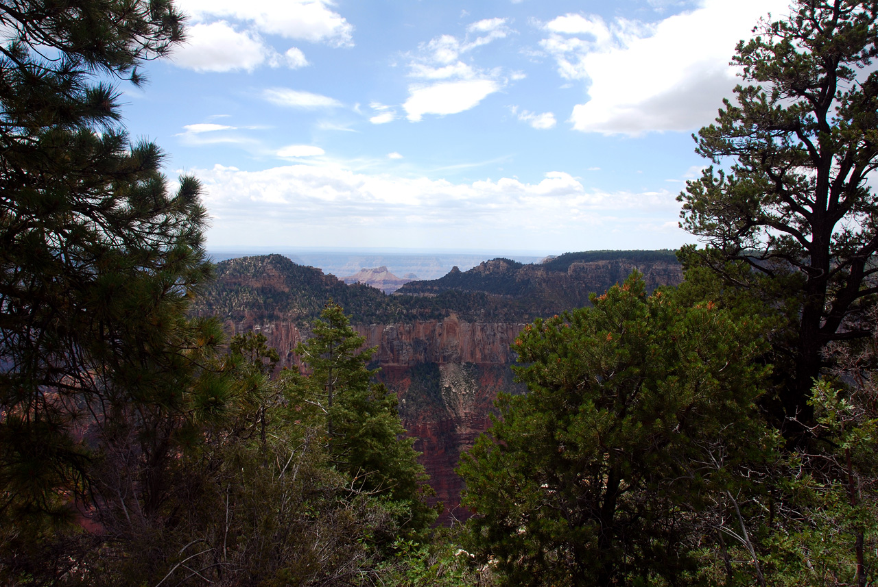 07-08-19, 042, Grand Canyon, North Rim, Az