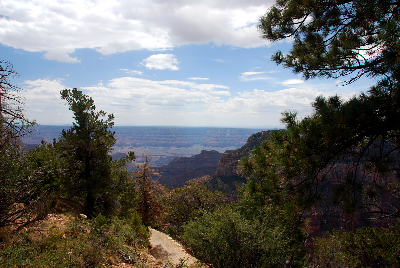 07-08-19, 043, Grand Canyon, North Rim, Az