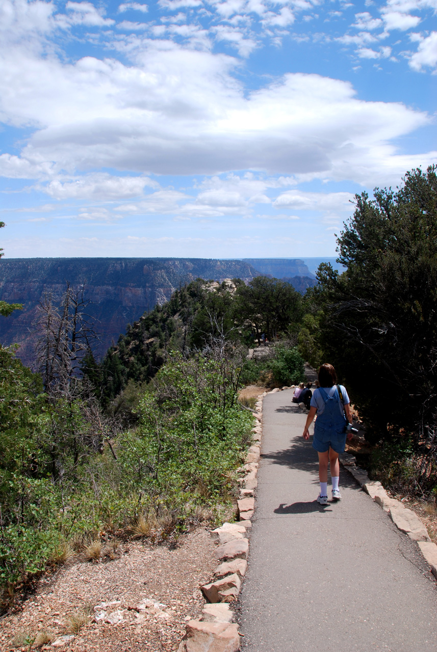 07-08-19, 049, Grand Canyon, North Rim, Az