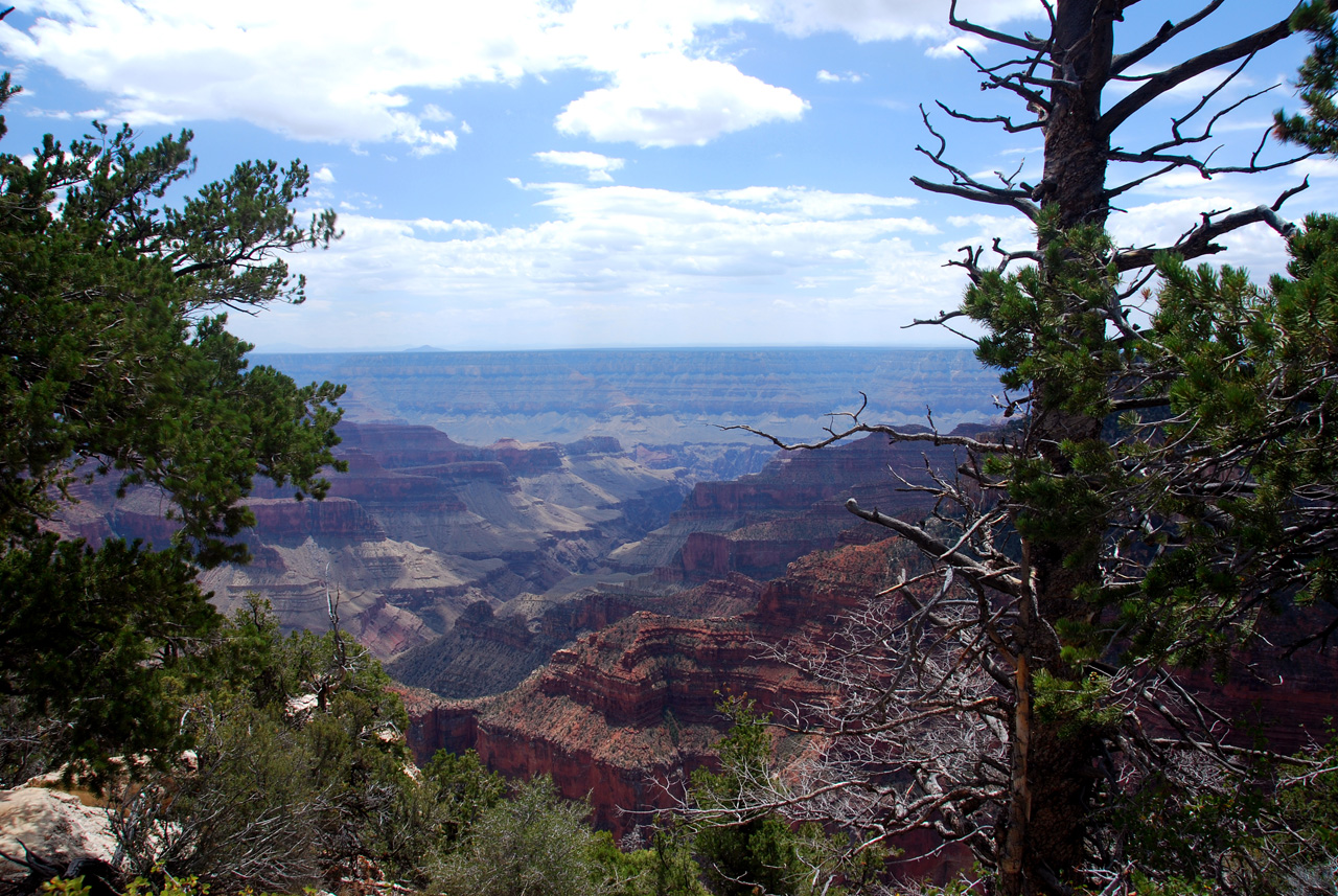 07-08-19, 050, Grand Canyon, North Rim, Az