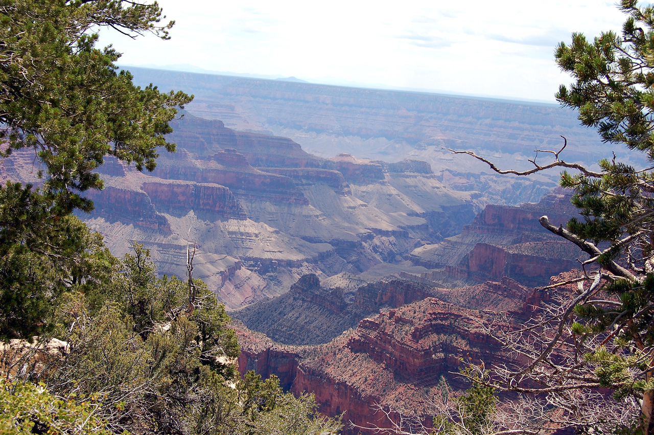 07-08-19, 051, Grand Canyon, North Rim, Az