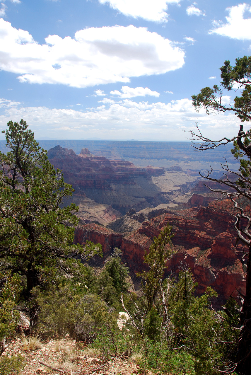 07-08-19, 084, Grand Canyon, North Rim, Az