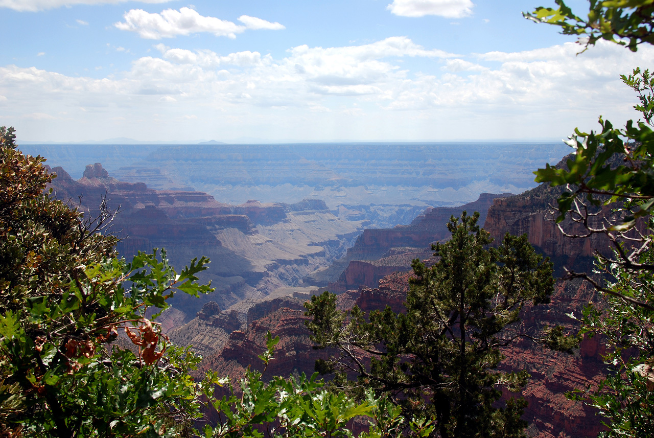 07-08-19, 085, Grand Canyon, North Rim, Az