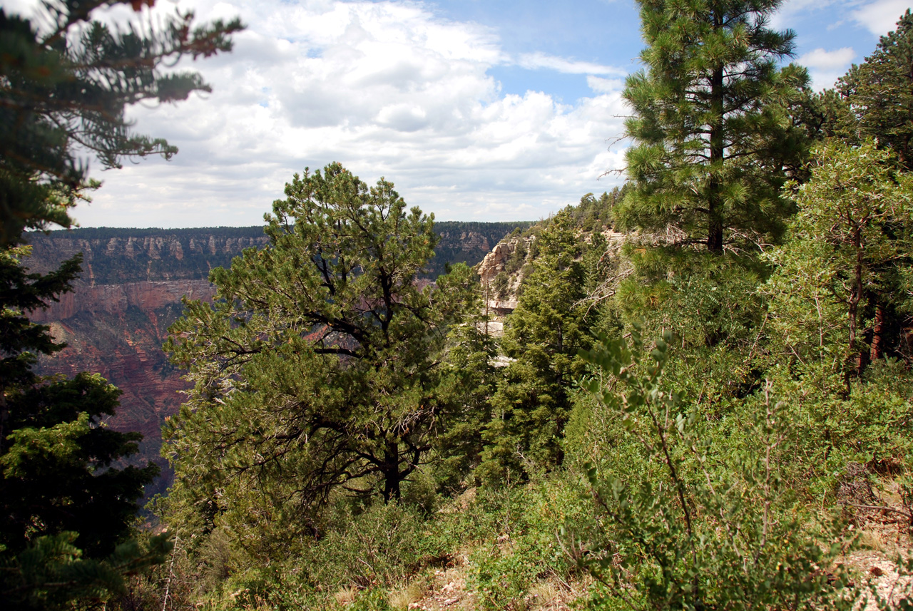 07-08-19, 097, Grand Canyon, North Rim, Az