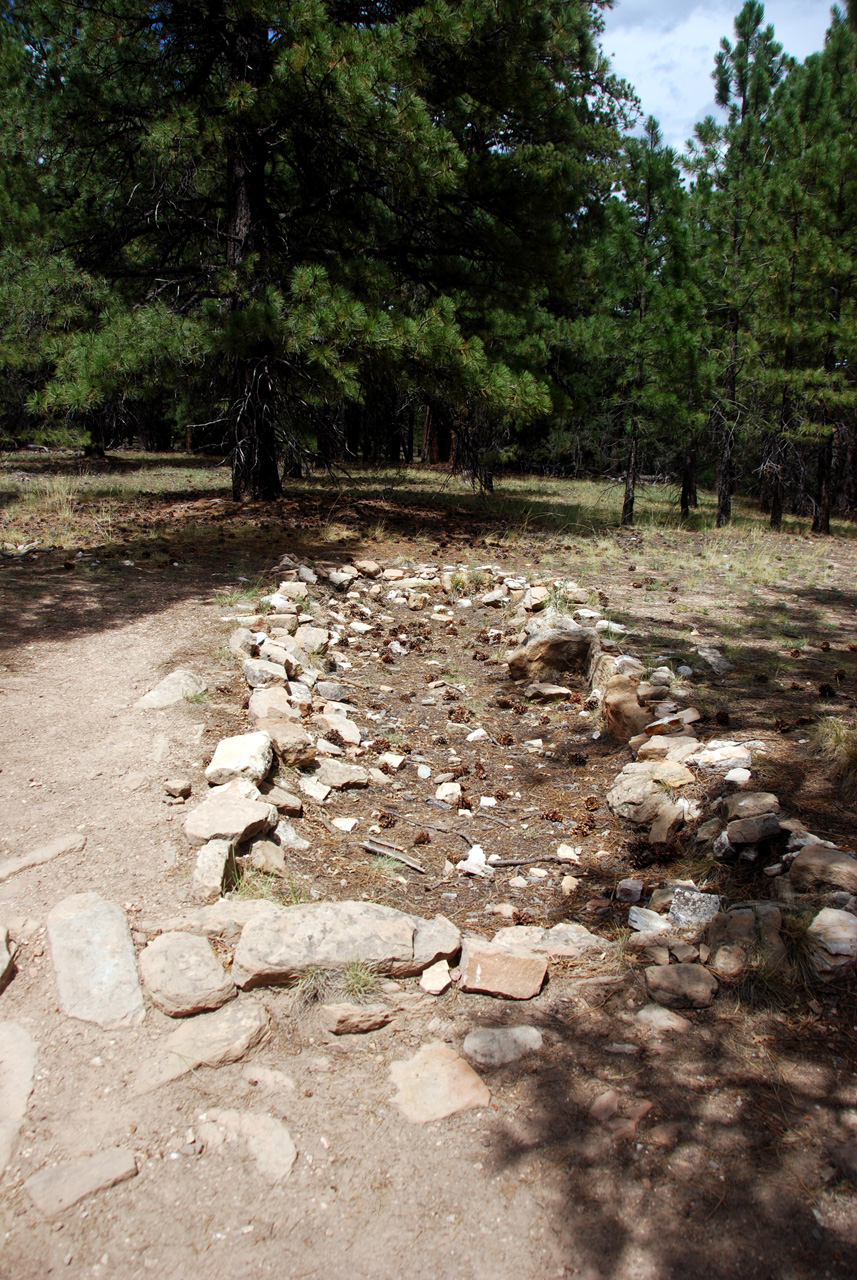 07-08-19, 101, Grand Canyon, North Rim, Az