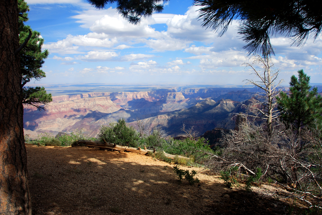 07-08-19, 115, Grand Canyon, North Rim, Az