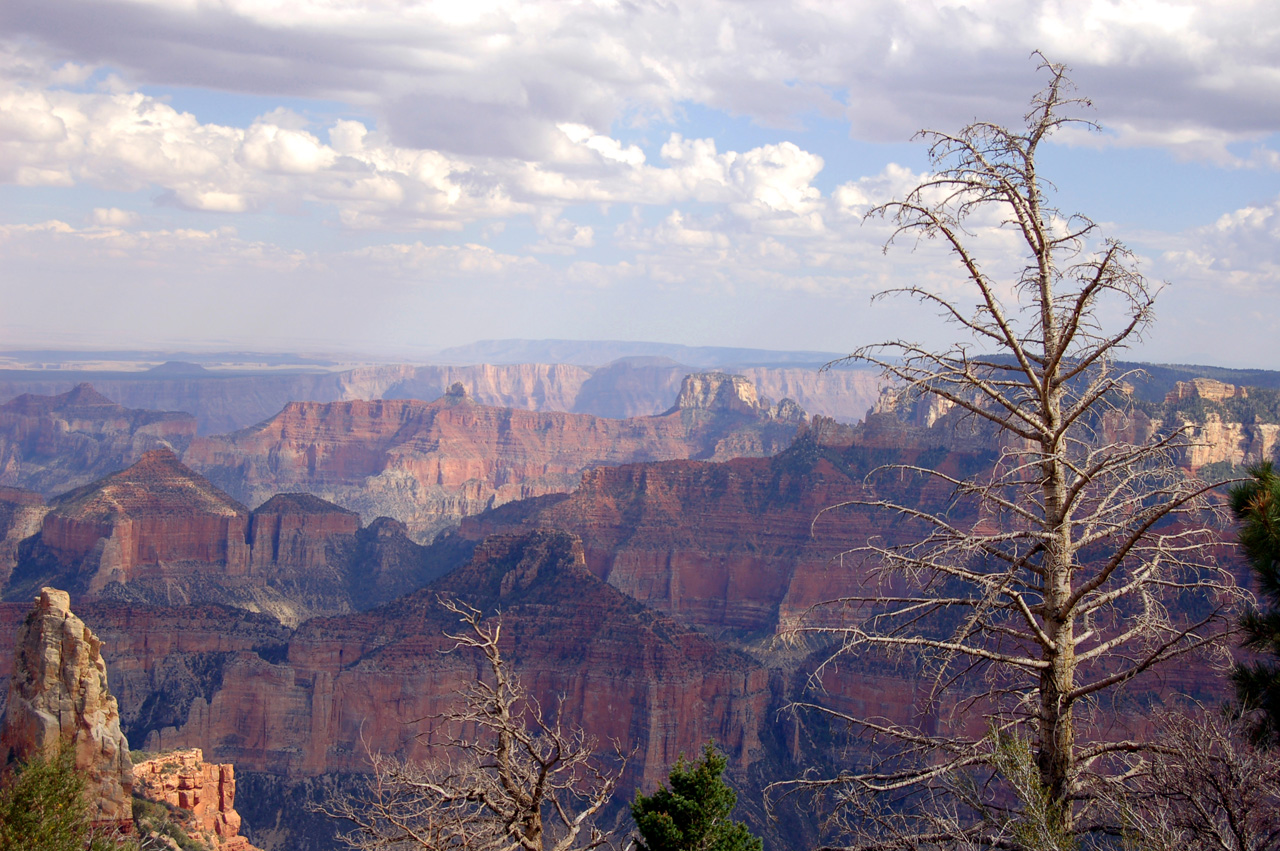 07-08-19, 118, Grand Canyon, North Rim, Az