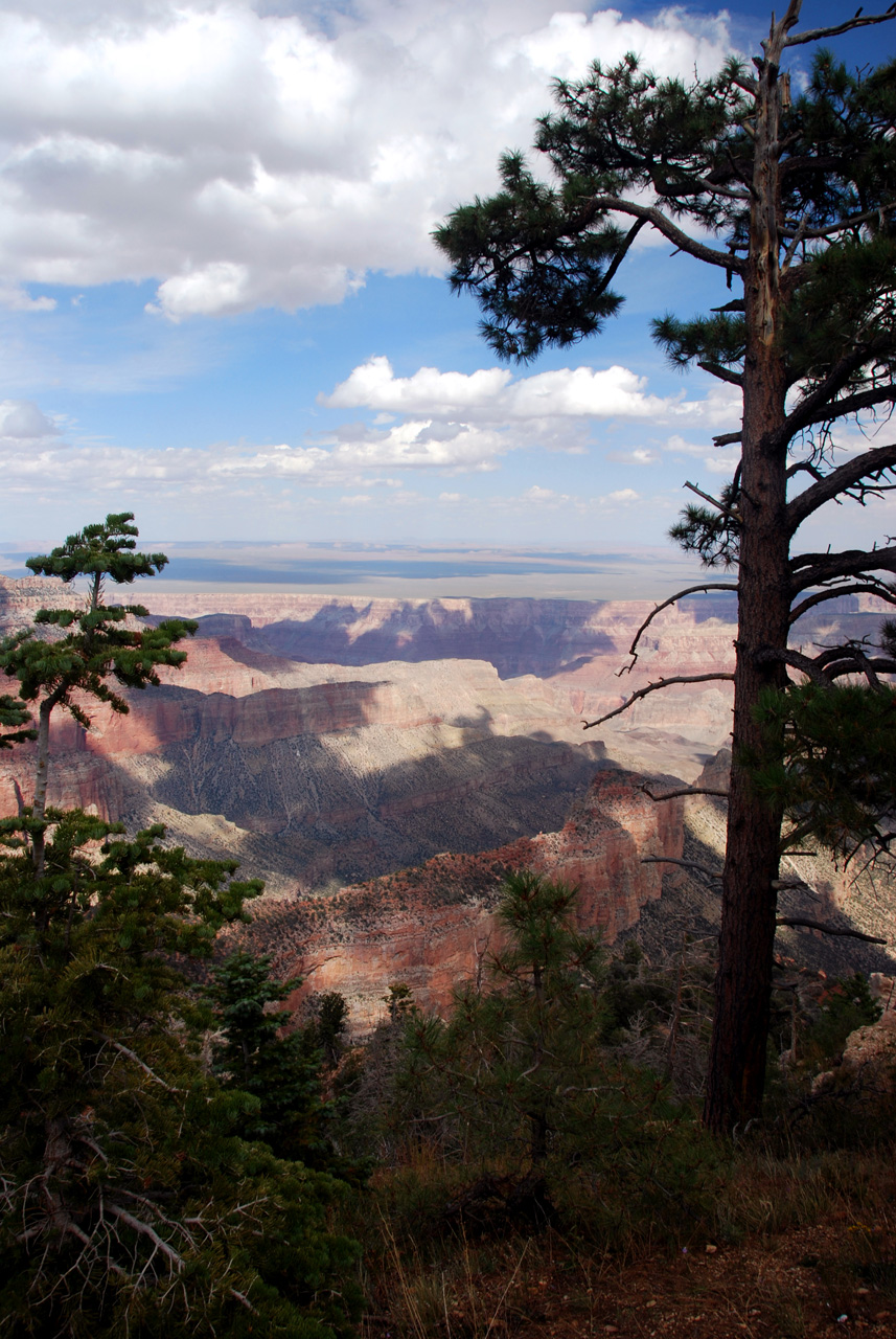 07-08-19, 123, Grand Canyon, North Rim, Az