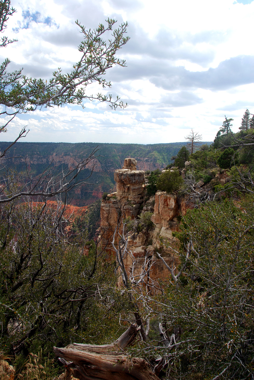 07-08-19, 125, Grand Canyon, North Rim, Az