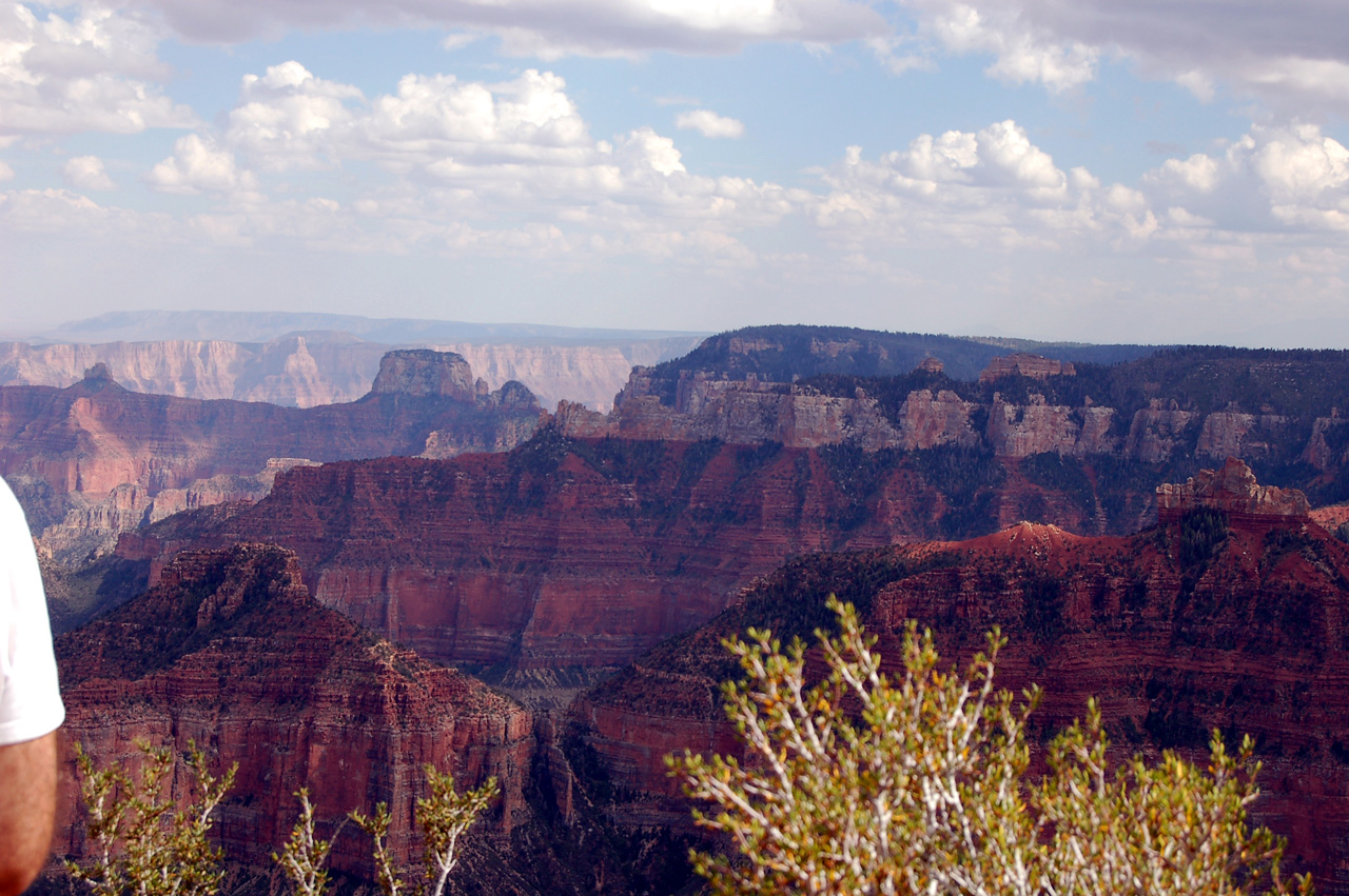 07-08-19, 135, Grand Canyon, North Rim, Az