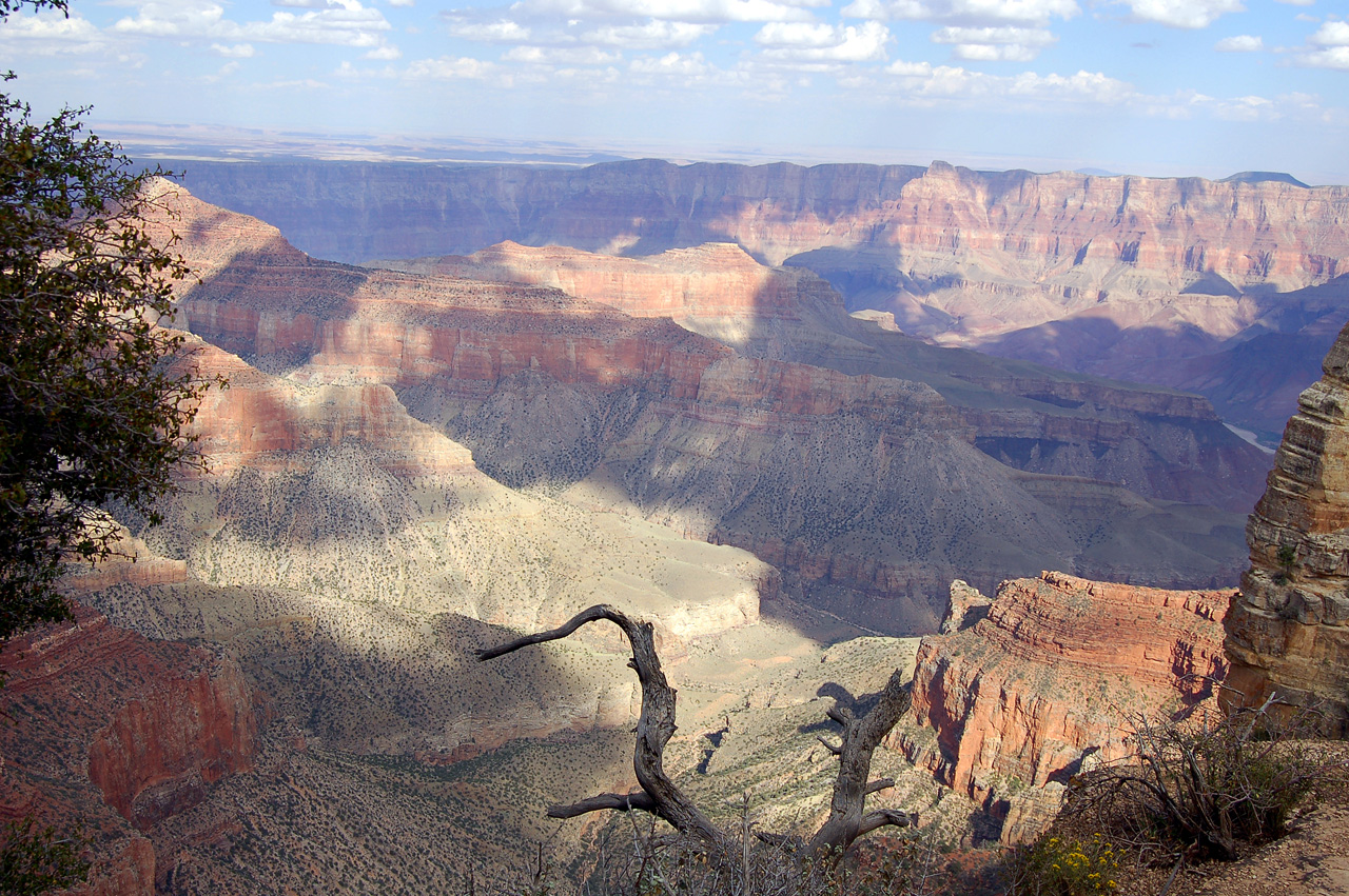 07-08-19, 145, Grand Canyon, North Rim, Az