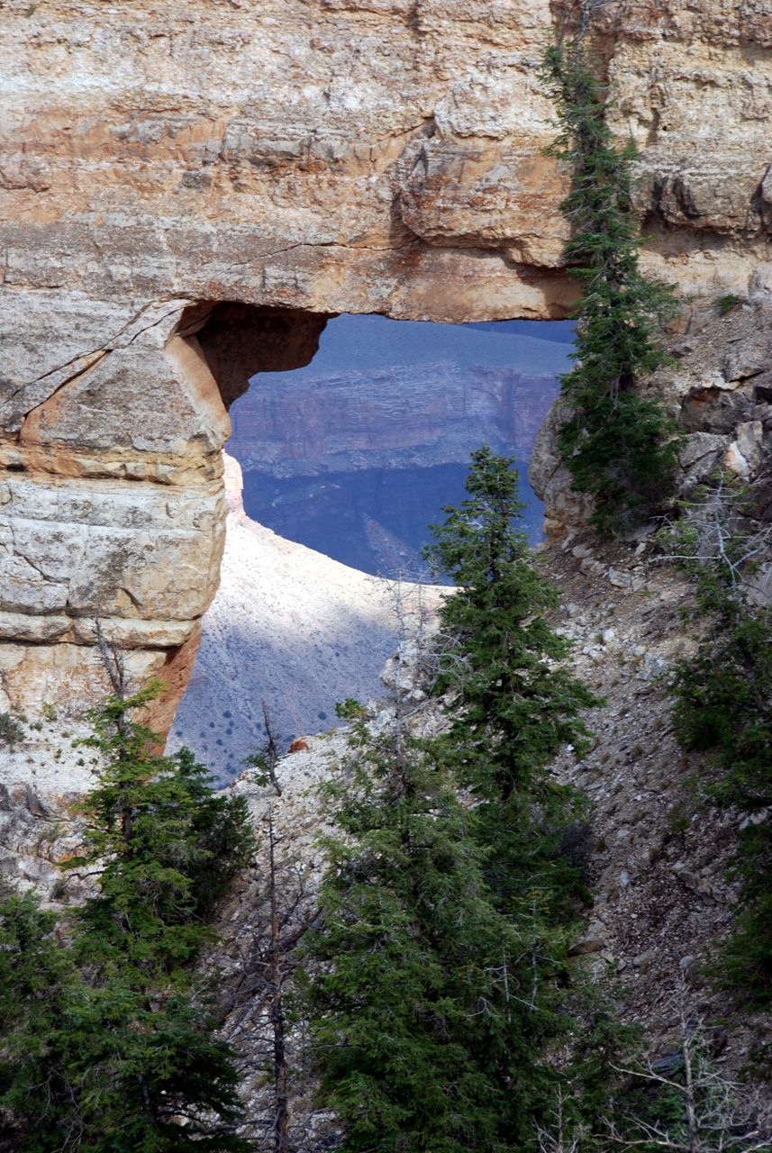 07-08-19, 155, Grand Canyon, North Rim, Az