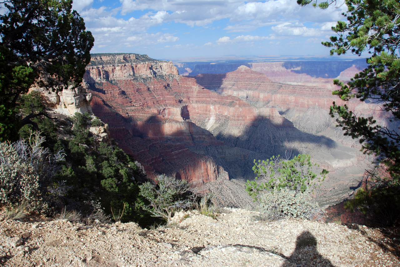 07-08-19, 173, Grand Canyon, North Rim, Az