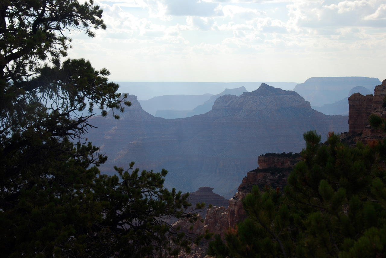 07-08-19, 176, Grand Canyon, North Rim, Az