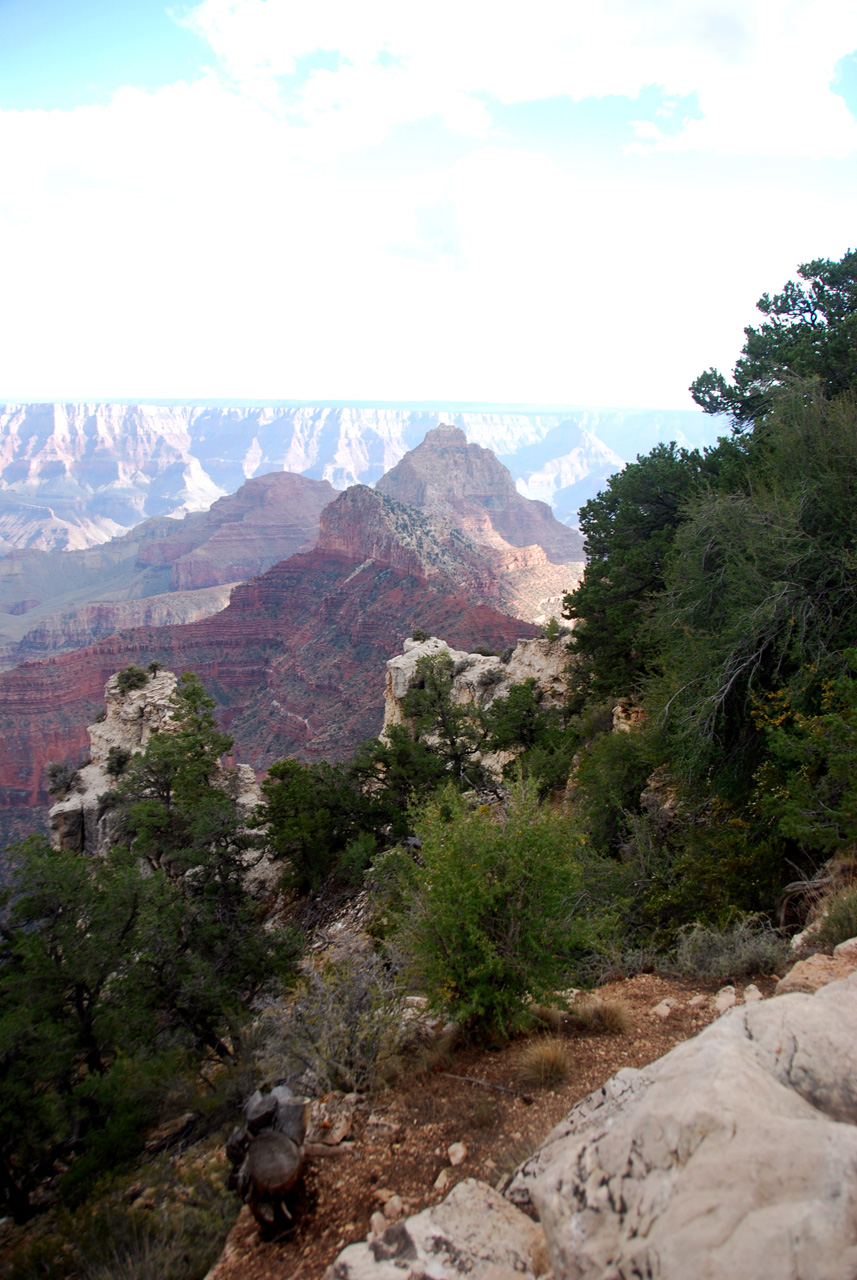 07-08-19, 190, Grand Canyon, North Rim, Az