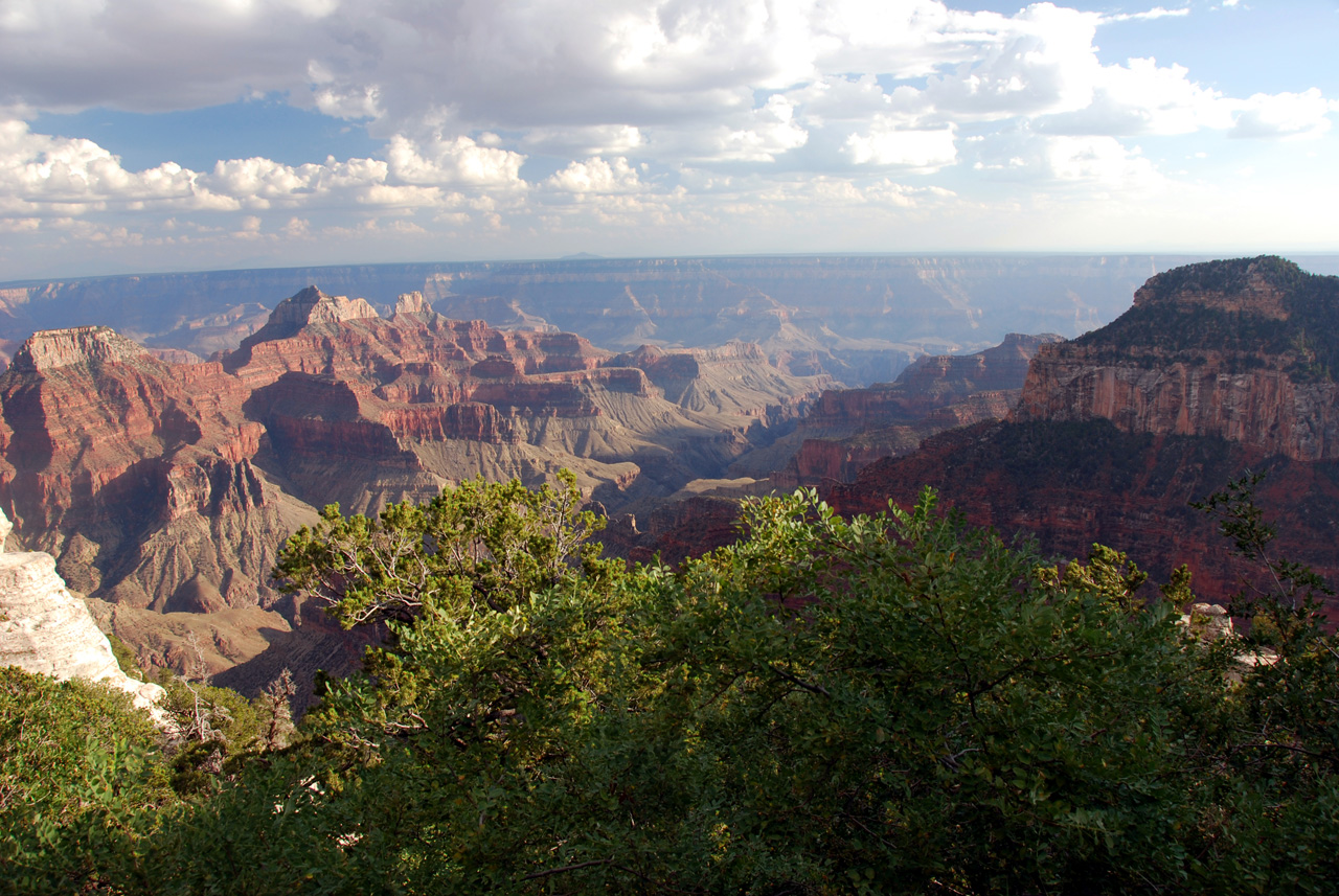 07-08-19, 204, Grand Canyon, North Rim, Az