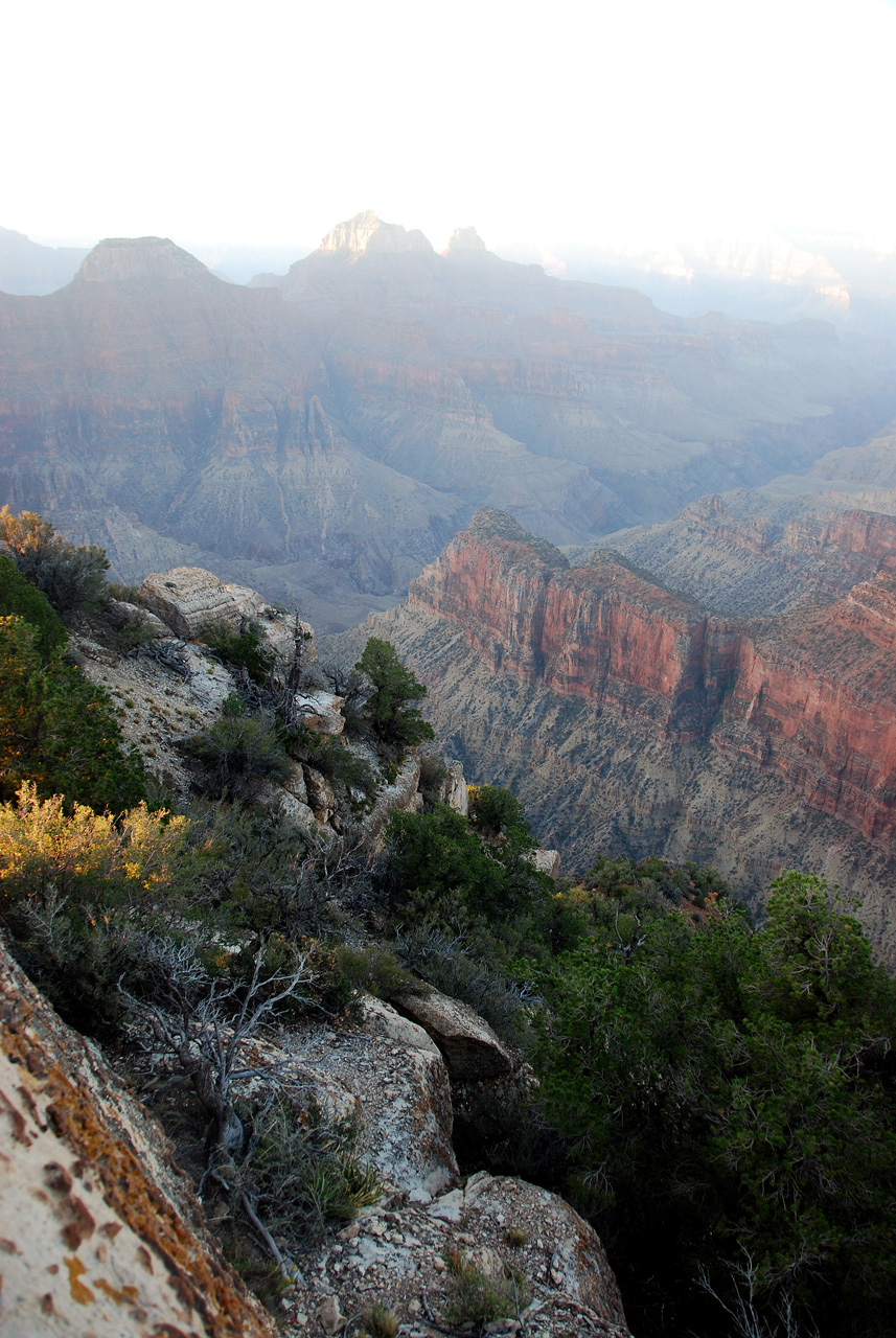 07-08-20, 008, Grand Canyon, North Rim, Az