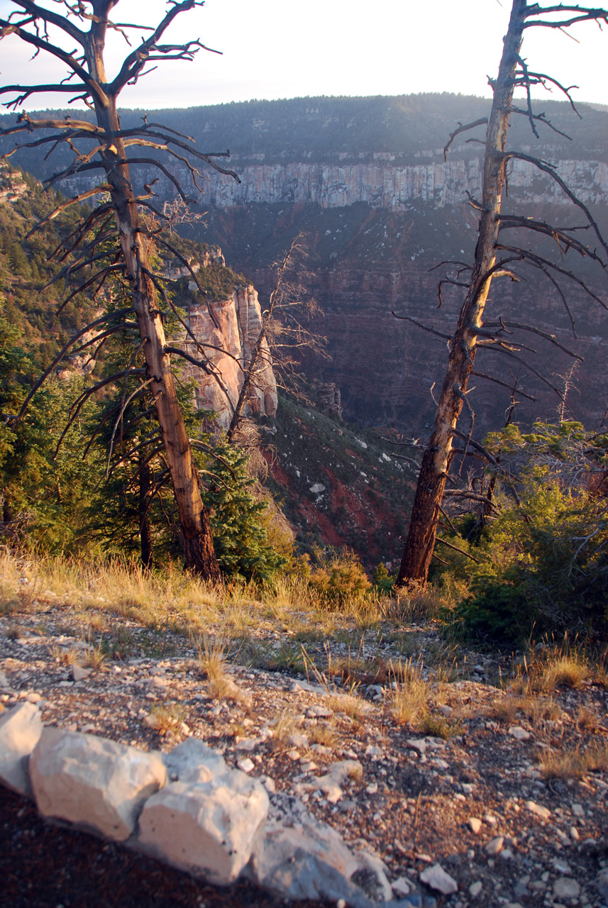 07-08-20, 009, Grand Canyon, North Rim, Az