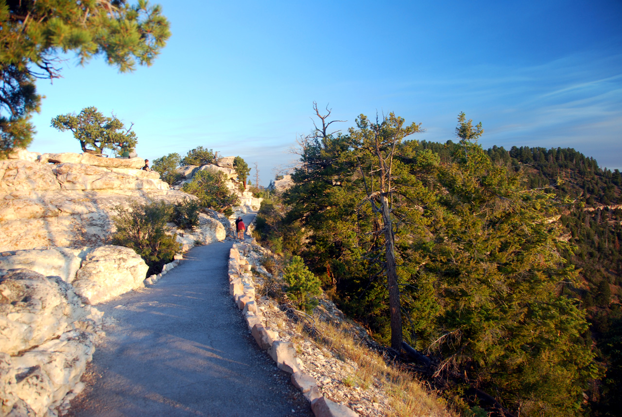 07-08-20, 010, Grand Canyon, North Rim, Az