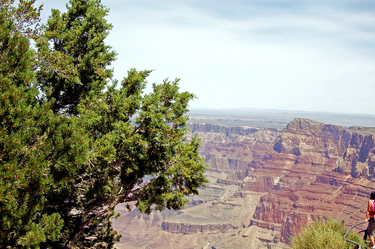 07-08-20, 047, Grand Canyon, South Rim, Az