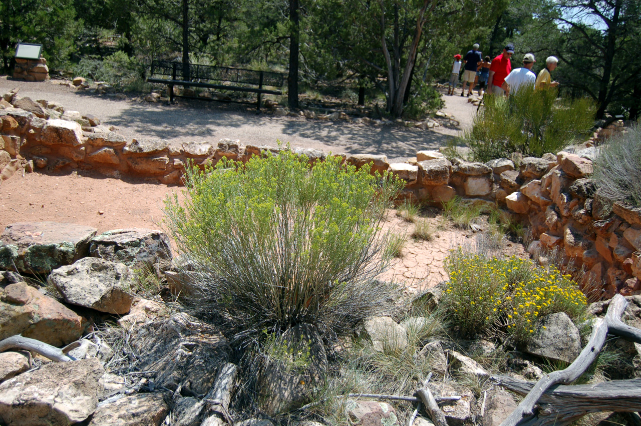 07-08-20, 065, Grand Canyon, South Rim, Az