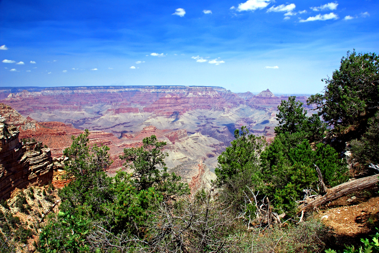 07-08-20, 108, Grand Canyon, South Rim, Az