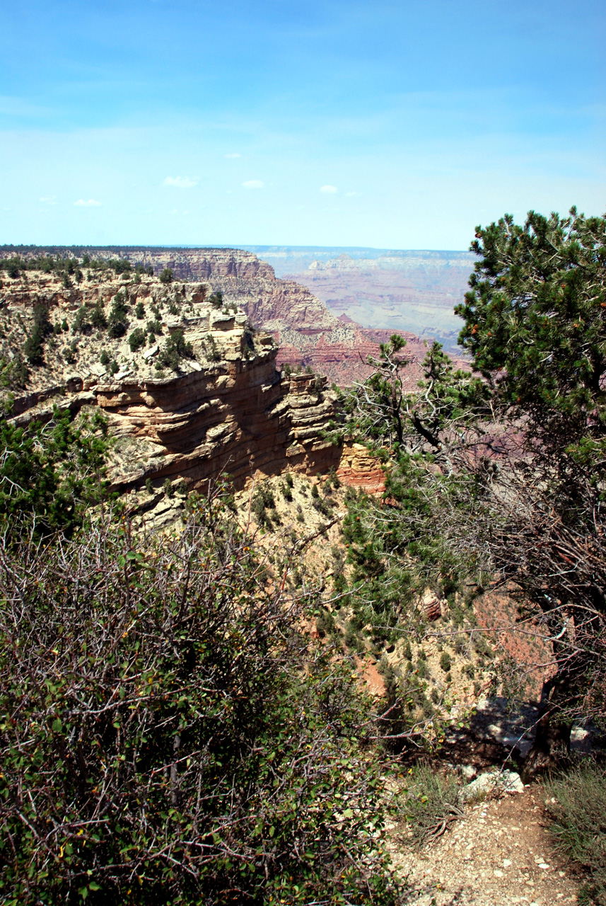 07-08-20, 111, Grand Canyon, South Rim, Az