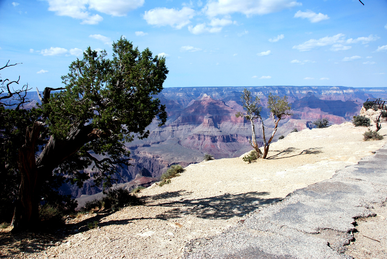 07-08-20, 176, Grand Canyon, South Rim, Az